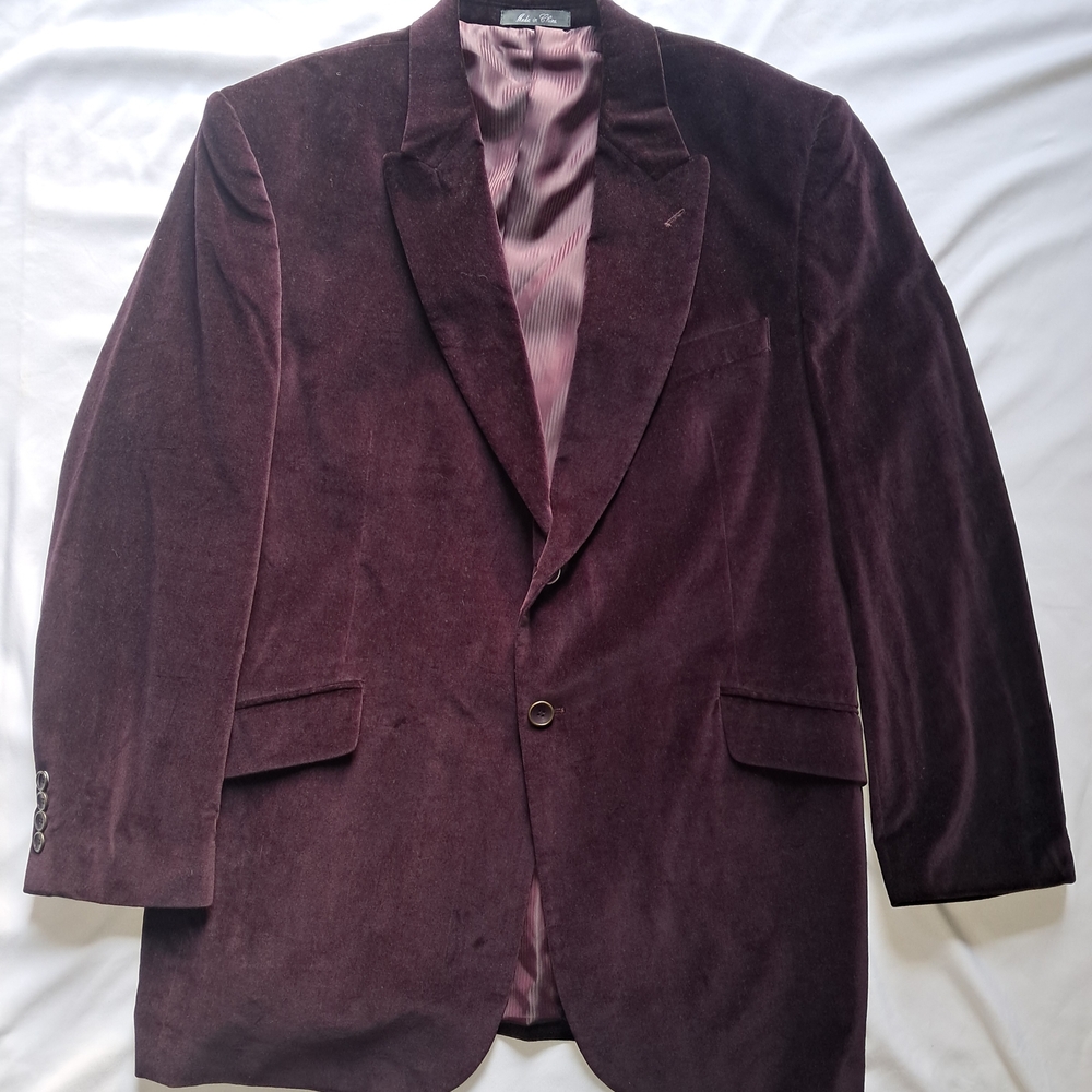 Like New Velvet Blazer with Notched Lapels Luxury Insignia